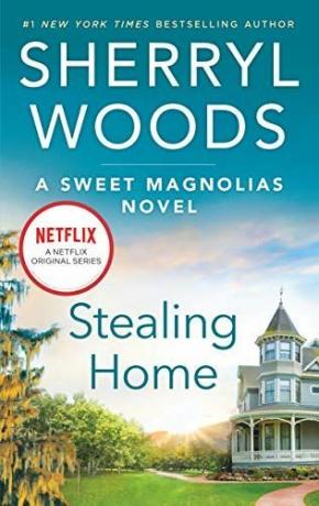 Ukrasti dom (Sladke knjige magnolij 1)