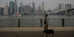 človek sprehaja svojega psa ob slabi kakovosti zraka