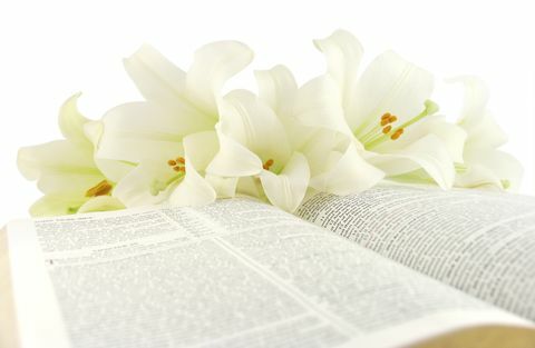 biblija z velikonočnimi lilijami