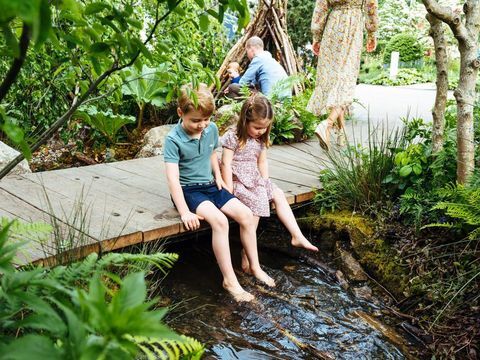 Kate Middleton ponuja princu Georgeu, princesi Charlotte in princu Louise zasebni ogled vrta Back to Nature