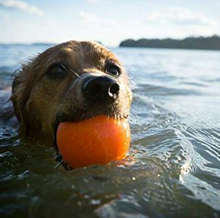 Planet Dog Orbee-Tuff Squeak, skoraj neuničljiva igračka za pasje žoge Fetch-Chew za agresivne žvečilke, narejena v ZDA, srednja 3-palčna, oranžna