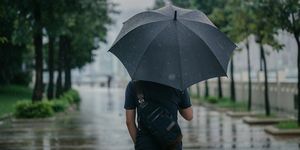 pogled od zadaj pametnega vzročnega moškega, ki drži dežnik in se sprehaja po parku v deževnem urbanem mestu