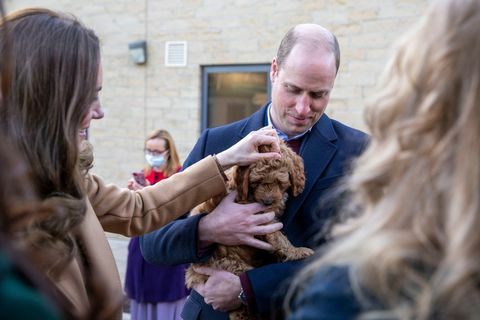 vojvodinja cambridgeska s psičkom kokapu