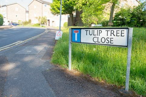 Tonbridge - Zaprto drevo tulipanov - Royal Mail
