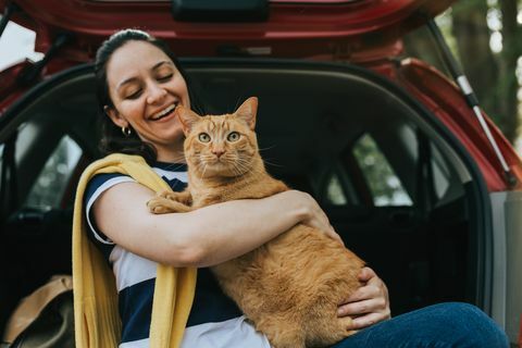 ženska drži mačko v avtu
