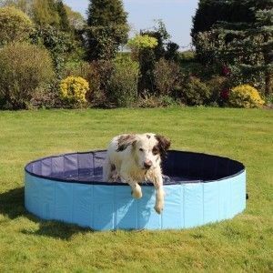 Cool Down zložljiv bazen za pse
