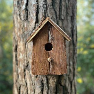 Barkwood Bird Nest Box