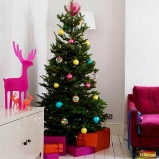 Božično drevo Nordmannove jelke – sveže rezano luksuzno drevo brez padca (približno 6 čevljev) + dostavljeno od 7. decembra do 12. decembra +
