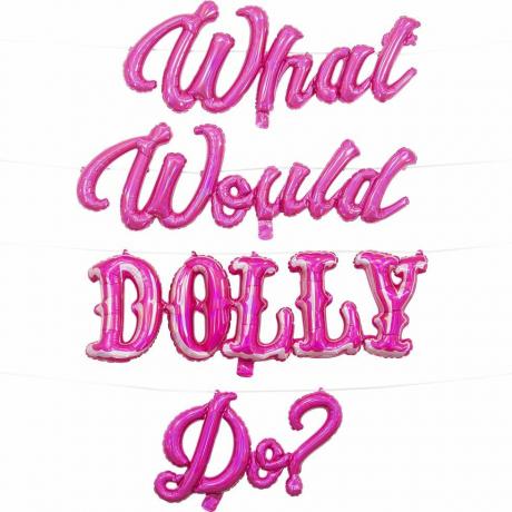 Pasica z balonom Dolly Parton roza Kaj bi naredila Dolly