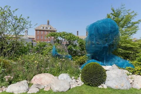 The Myeloma UK Garden - razstava cvetov Chelsea 2018