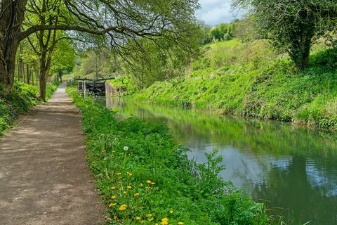 kanal stroudwater ob zgodnji spomladanski sončni svetlobi blizu griffins lock, thrupp, stroud, the Cotswolds, gloucestershire, uk