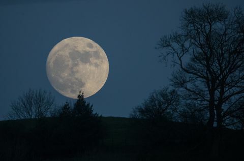 Wolf Moon se dvigne nad Glastonburyjem pred uradnimi strogimi vremenskimi opozorili