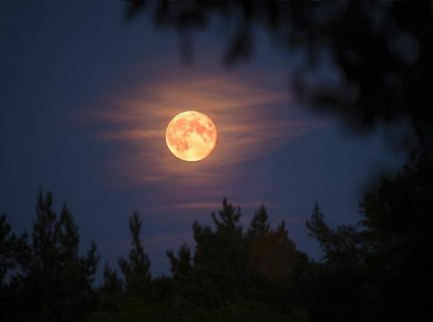 Kaj je lovska luna? Lepa zgodba za oktobrsko polno luno