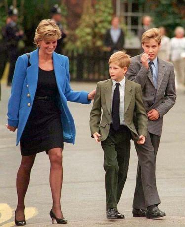 Princ William pravi, da je princ Harry pustil princeso Diano in je ni mogel zaščititi v dokumentarnem filmu BBC