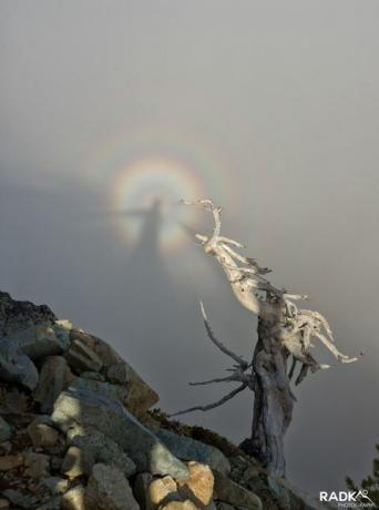 Zlomljen spekter, ki je viden nad narodnim parkom Mount Rainier