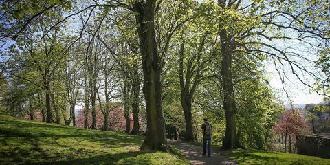 Moški hodi po poti v parku v Brandon Hillu, Bristol