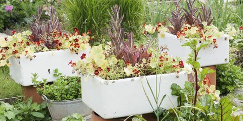 posode za rastline