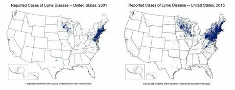 Zemljevid širjenja lymske bolezni v obdobju 2001–2015