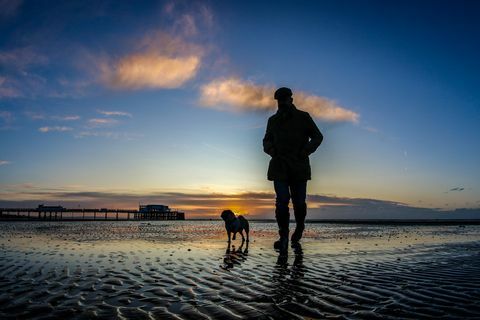 Moški hodi s psom na peščeno plažo