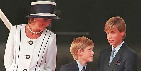 Princ William in princ Harry govorita o obžalovanju ob "hitrem" zadnjem klicu s princeso Diano