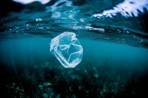 Plastična vreča, ki lebdi nad grebenom v oceanu, Kostarika