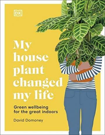 Moja sobna rastlina mi je spremenila življenje: zeleno dobro počutje za čudovite notranje prostore