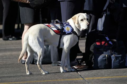 Odprtje slovesnosti, ko je predsednik Busha letel v Washington DC