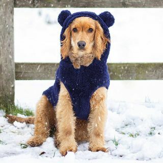Pulover za pse medvedka – velik
