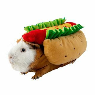 Kostum hot dog