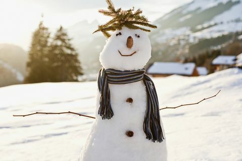 Snežak v snežnem polju
