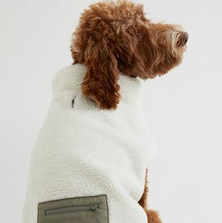 Umetna pasja jakna z žepnimi detajli