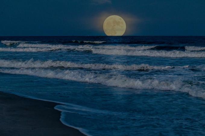polna super luna vzhaja nad oceanom v bližini plaže Myrtle Beach v Južni Karolini