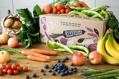Riverford Organic Farmers - škatla za zelenjavo