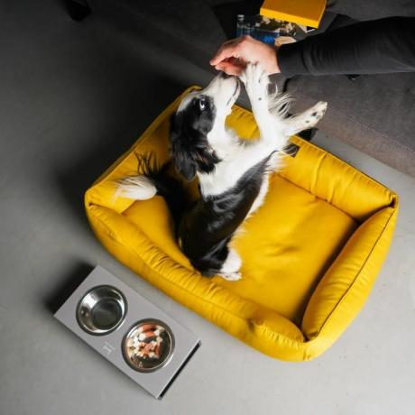 YELLOW Pasja postelja s snemljivo prevleko svetlo pasje gnezdo MUSTARD XS - podloga za psa velikosti Xxl, Darilo za lastnike psov