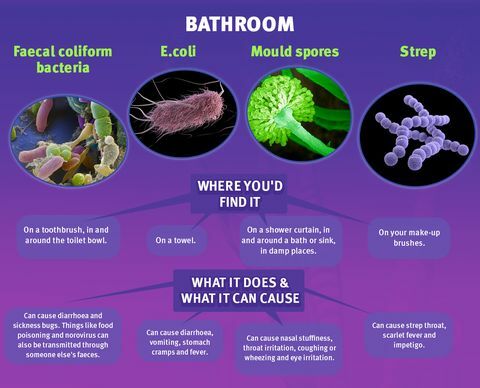 Kopalniške mikrobe - vzmetnice na spletu