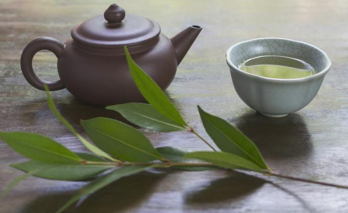 Tihožitje s keramičnim čajnikom, skodelico zelenega čaja in vejico čajevca