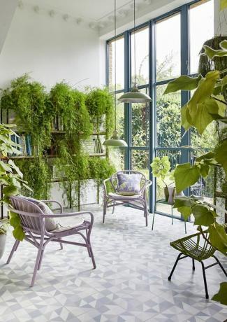 rastline v čudoviti svetlobi napolnjeni sobi