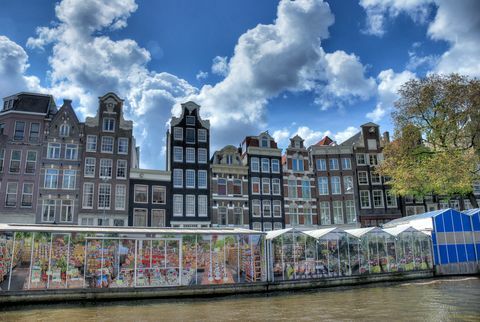 Cvetlična tržnica v kanalu Singel - Amsterdam