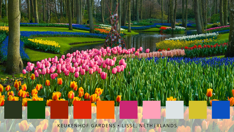 barvne palete najbolj znanih vrtov na svetu