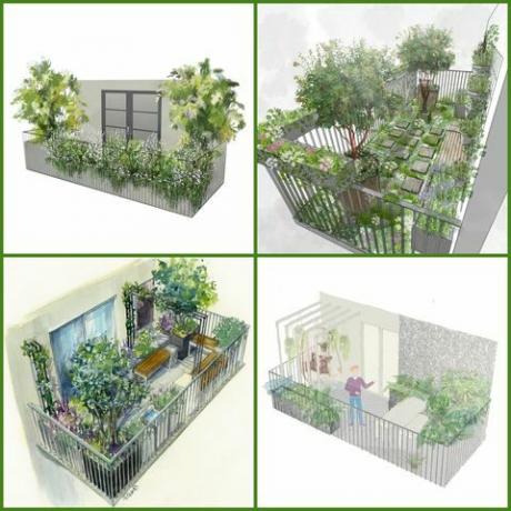 rhs chelsea cvetlična razstava 2021 balkonski vrtovi