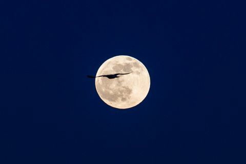 redka modra luna bo osvetlila nebo na noč čarovnic