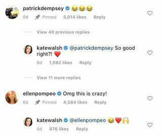 Oboževalci 'grey's anatomy' so šokirani po instagram izmenjavi Kate Walsh in Patricka Dempseyja
