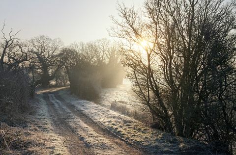 podeželska steza v mrzlem zimskem jutru