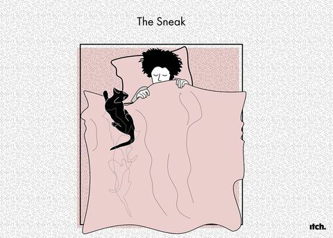 Mačja ilustracija nova študija položajev za spanje hišnih ljubljenčkov