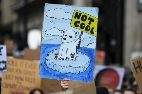 Greta Thunberg protesti proti podnebnim spremembam v Glasgowu