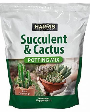 Mešanica za lončenje sukulentov in kaktusov Harris Premium