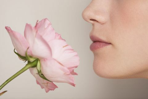 Ženska diši rožni cvet od blizu