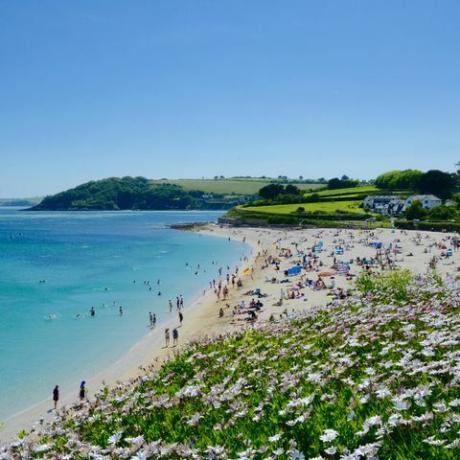 živahna plaža gyllyngvase, Cornwall, poleti uk