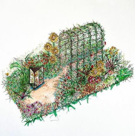 ona goji zelenjavo " vstani in raste" ogled užitnega vrta na Rhs Hampton Court naslednji teden